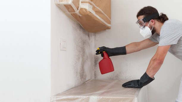 Professional Bathroom Mold Removal technician working in McQueeney, TX