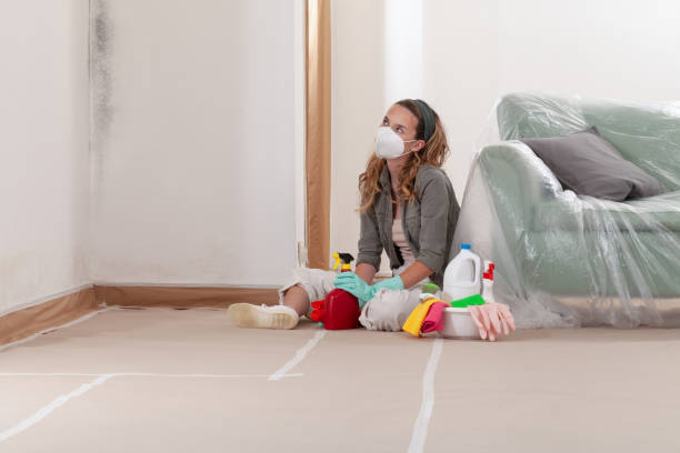 Reliable Bathroom Mold Removal contractor in McQueeney, TX by WQB Mold Removal